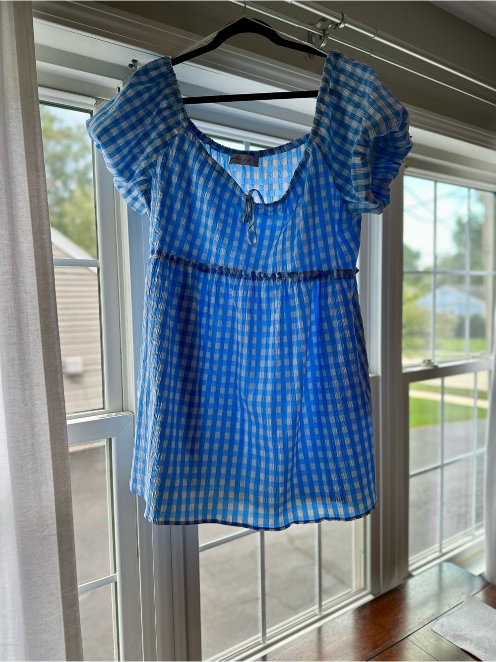Petal & Pup Blue Gingham Mini Dress